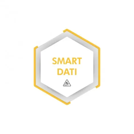 SMART-DATI Applicatieservice-logo