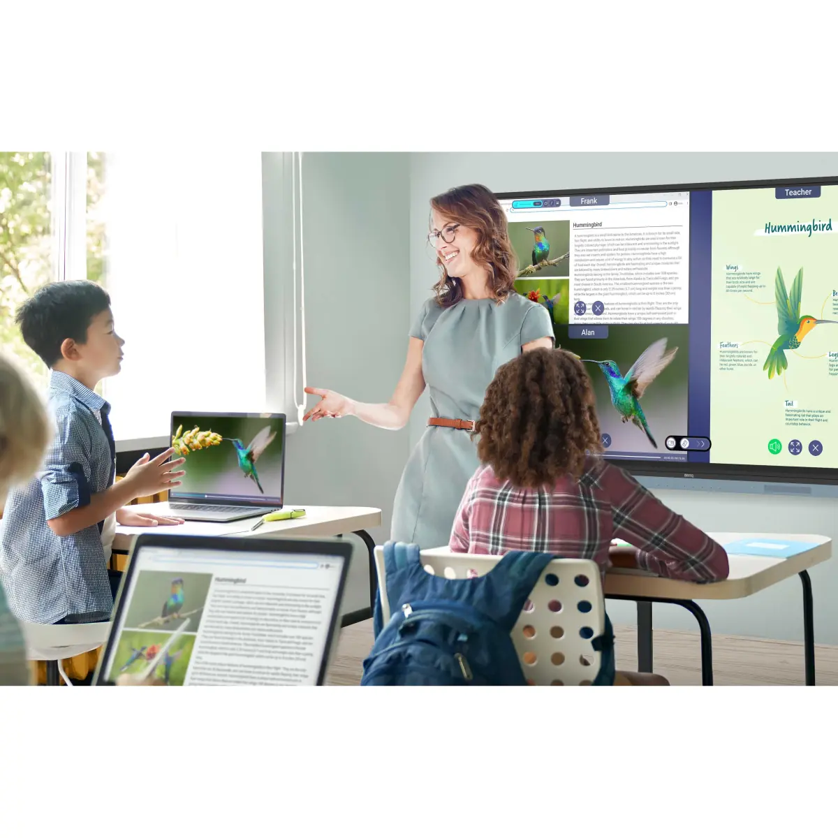 BenQ RM6504 - smart board